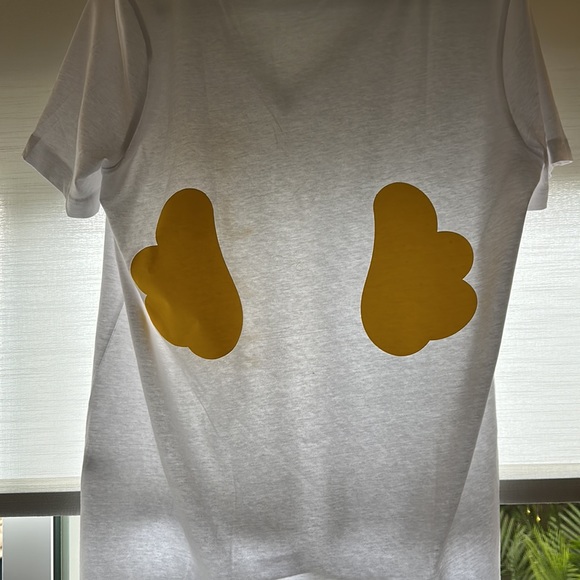 Wings - Picture 2 of 2